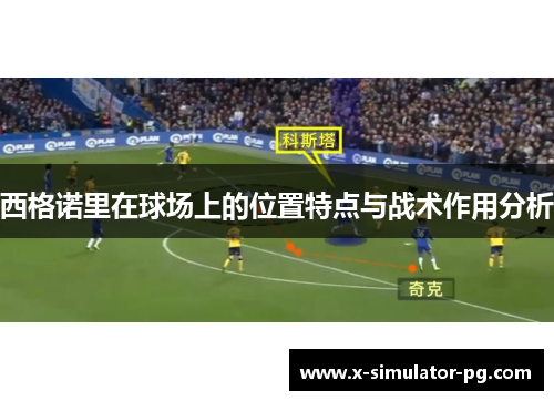 西格诺里在球场上的位置特点与战术作用分析