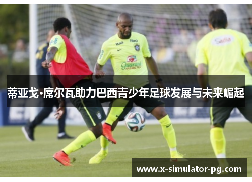 蒂亚戈·席尔瓦助力巴西青少年足球发展与未来崛起