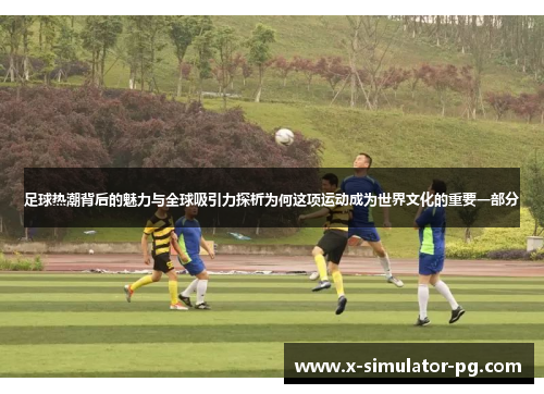 足球热潮背后的魅力与全球吸引力探析为何这项运动成为世界文化的重要一部分