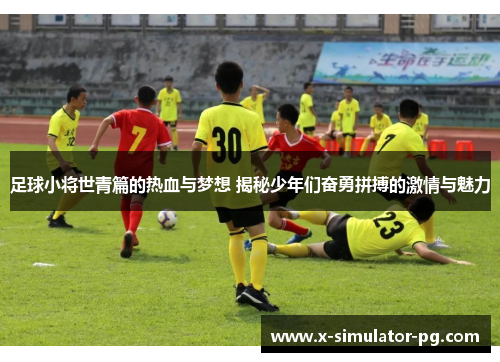 足球小将世青篇的热血与梦想 揭秘少年们奋勇拼搏的激情与魅力